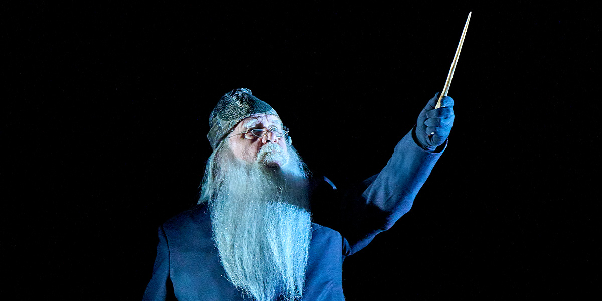 Dumbledore, portrayed by Ian Redford, raises a wand against a dark background, wearing a blue robe and hat.