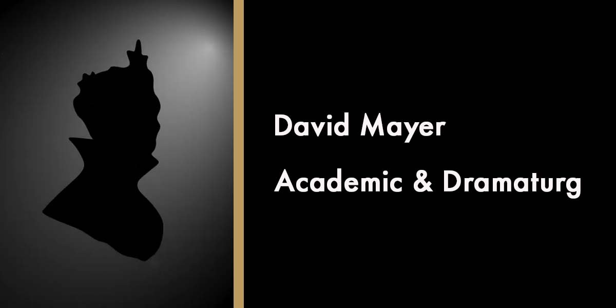 David Mayer, Academic & Dramaturg