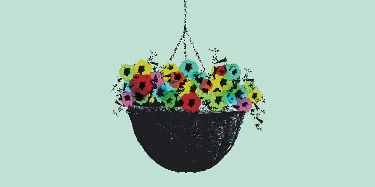 A hanging basket with flowers in it.