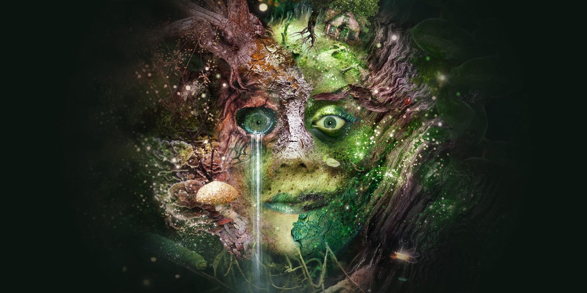The background is back. In the centre is a picture of a face, on the left side of the face there is a beige mushroom growing from the chin. There is a waterfall pouring out from the left eye. The hair on the left side is made to look like a tree. On the right side of the face where the hair should be there is an image of a small cottage with green windows and a green door. The eyebrow looks like etched wood. The cheek and chin look like green foliage.