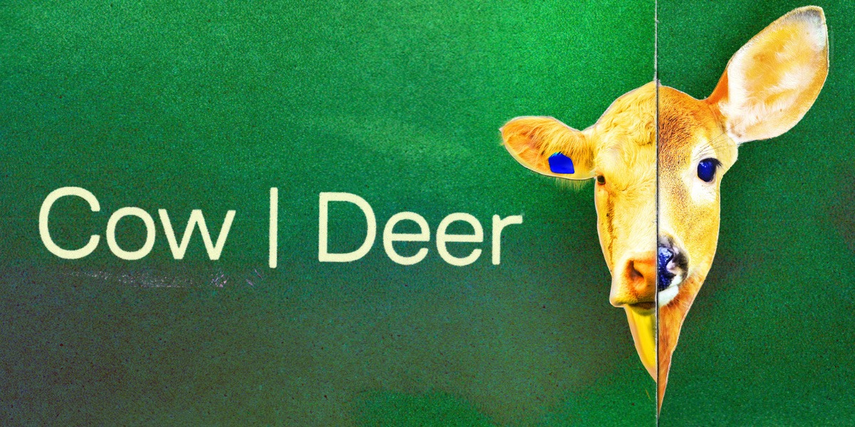 There is a green background. On the left of the image is the title in cream lettering - 'Cow|Deer'. On the right of the image there is half cow's head with line down the middle joined together with a deer's head.