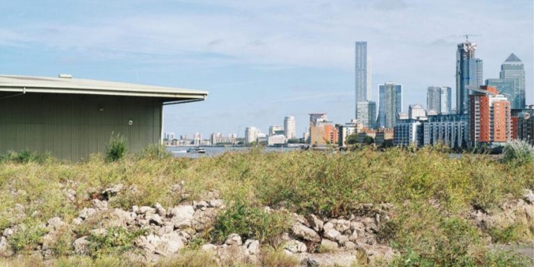 A brick building with large windows, surrounded by greenery and a clear blue sky in the background.