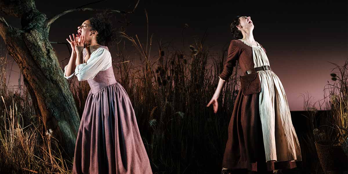 Two people in period costumes express intense emotion, surrounded by tall grasses and a dark background.