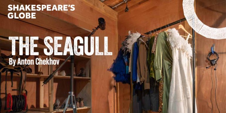 The Seagull